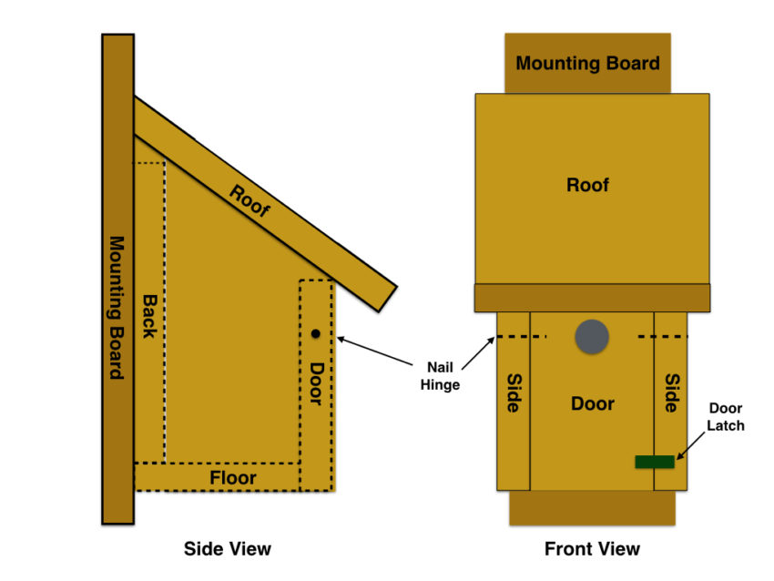 make-a-bluebird-house