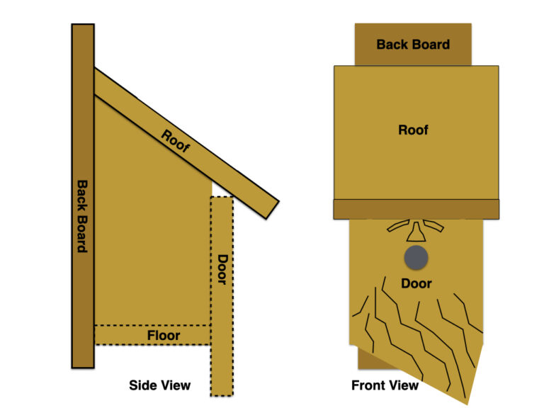 How to Carve a Wood Spirit Birdhouse